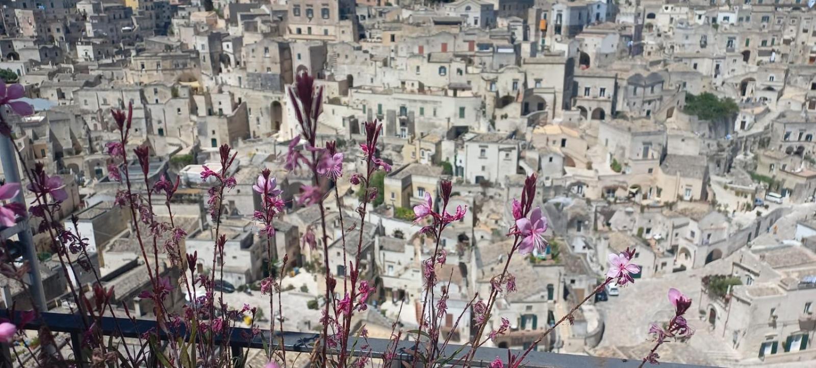 La Regina Historic House Lägenhet Matera Exteriör bild